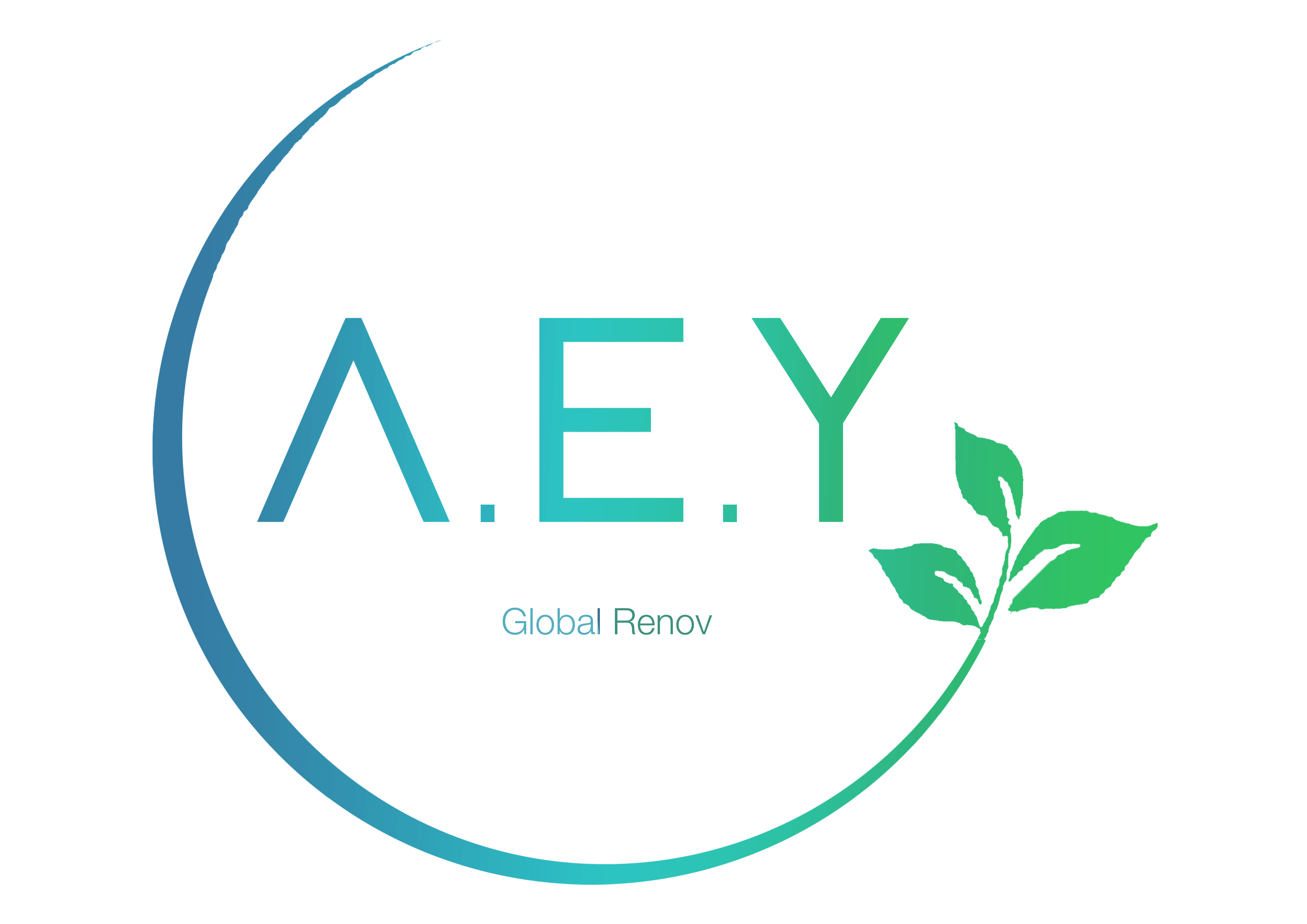 Logo AEY